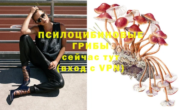 ПСИЛОЦИБИНОВЫЕ ГРИБЫ Беломорск