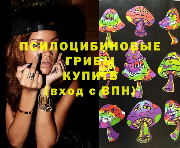 ПСИЛОЦИБИНОВЫЕ ГРИБЫ Беломорск