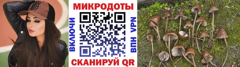 Псилоцибиновые грибы MAGIC MUSHROOMS  Верея 